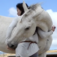 Training Horse to Hug with Clicker