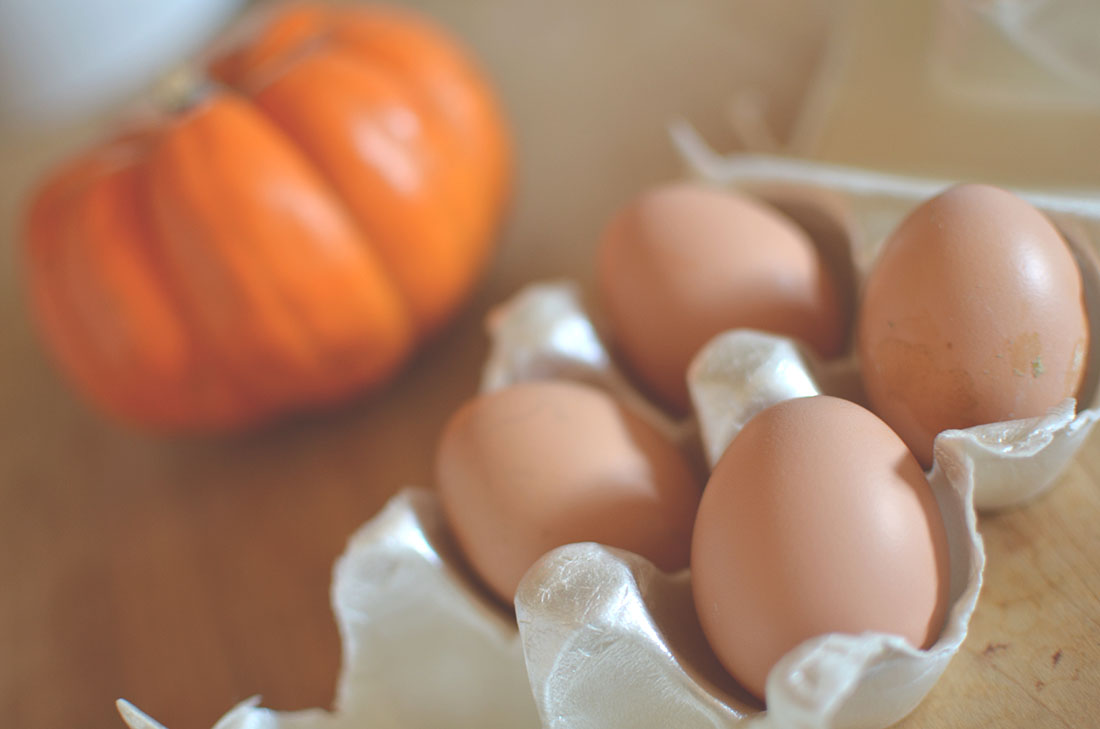 Organic Raised Chicken Eggs