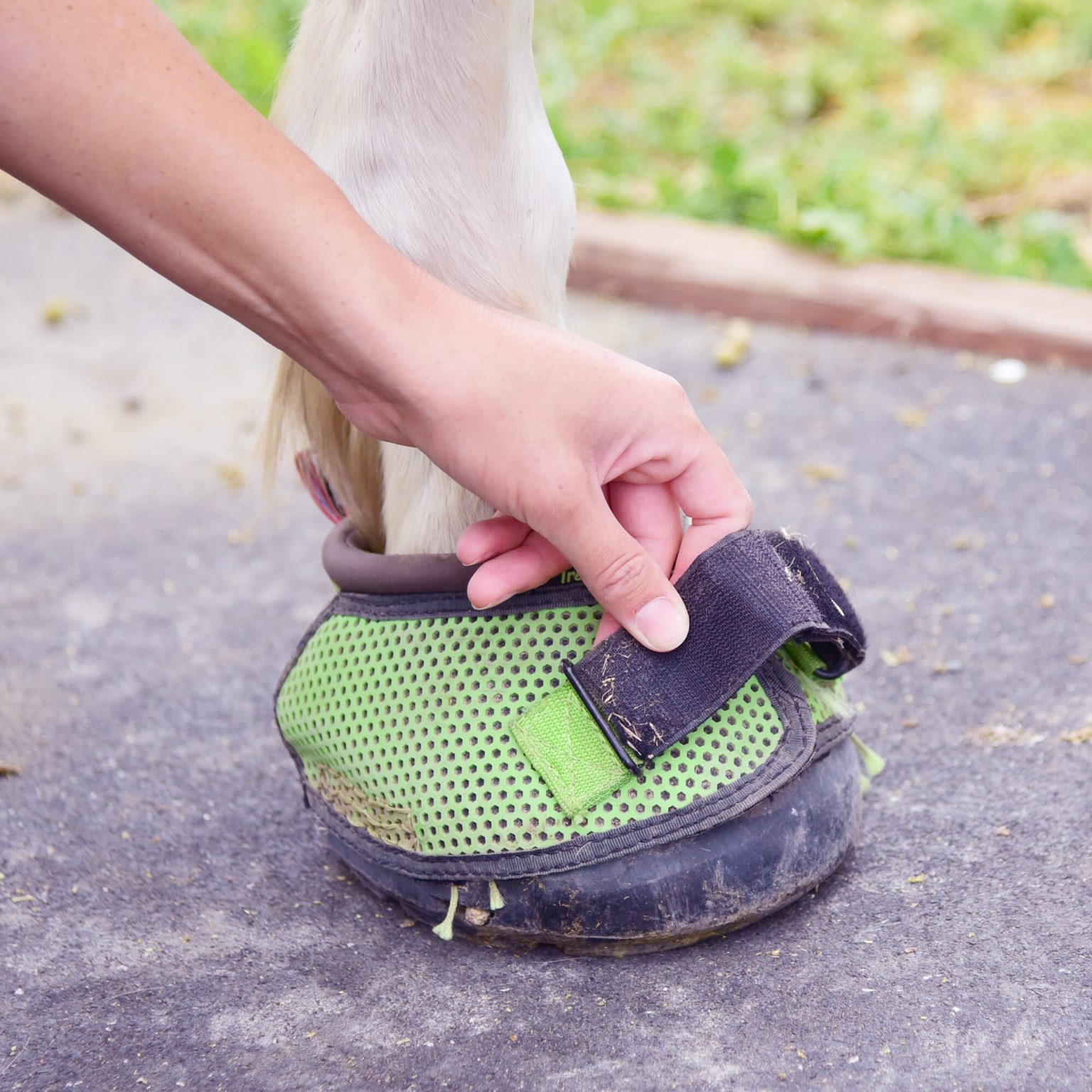 Cavallo Hoof Boots When It Clicks