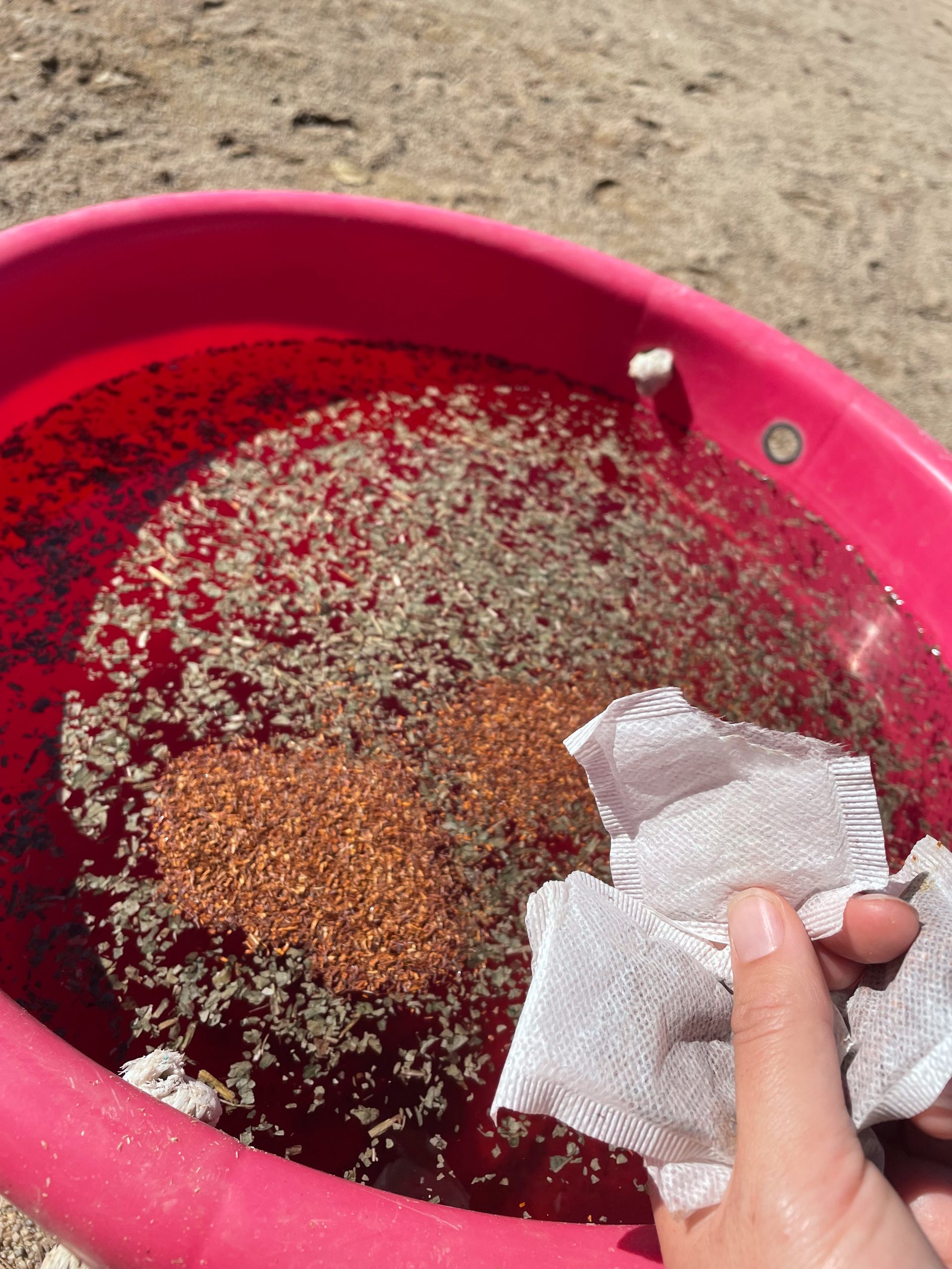Image showcasing Easy Equine Enrichment: Flavored Water – When It Clicks