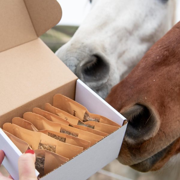 Herbal Enrichment Boxes