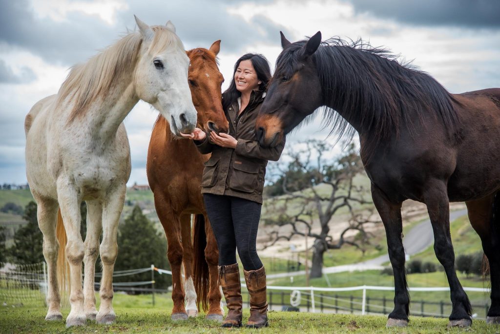 adelaide-coat-trio-winter-horses