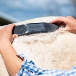 striphair_spring_groom