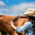 striphair_spring_groom