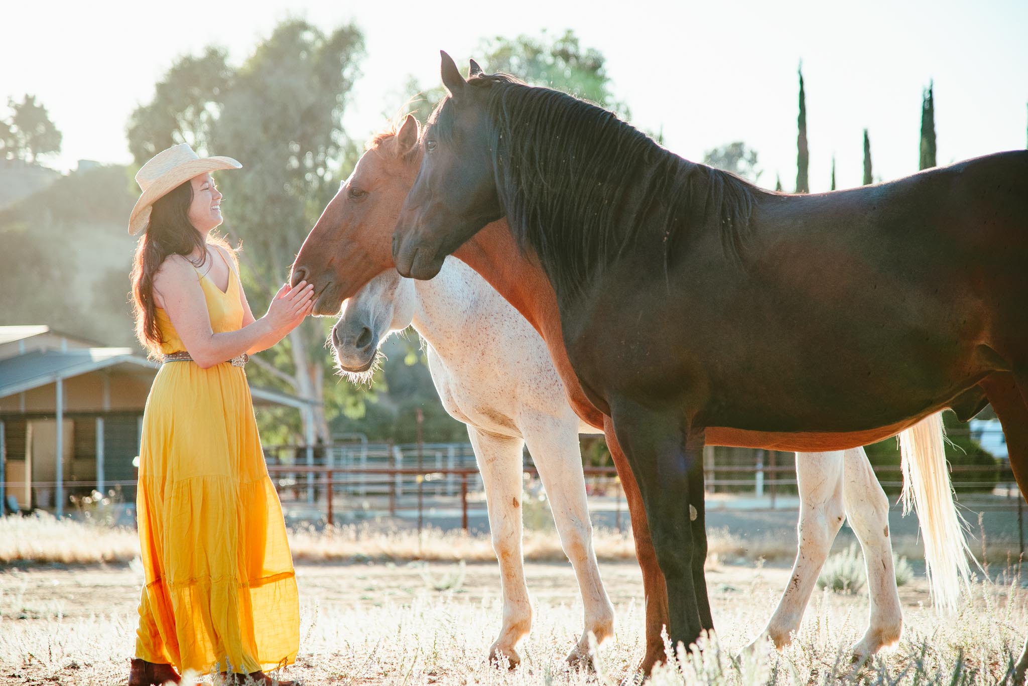 Rachel with all three horses