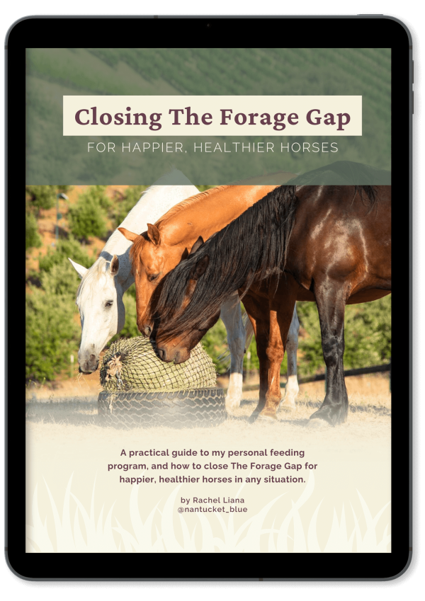 Closing the Forage Gap ebook