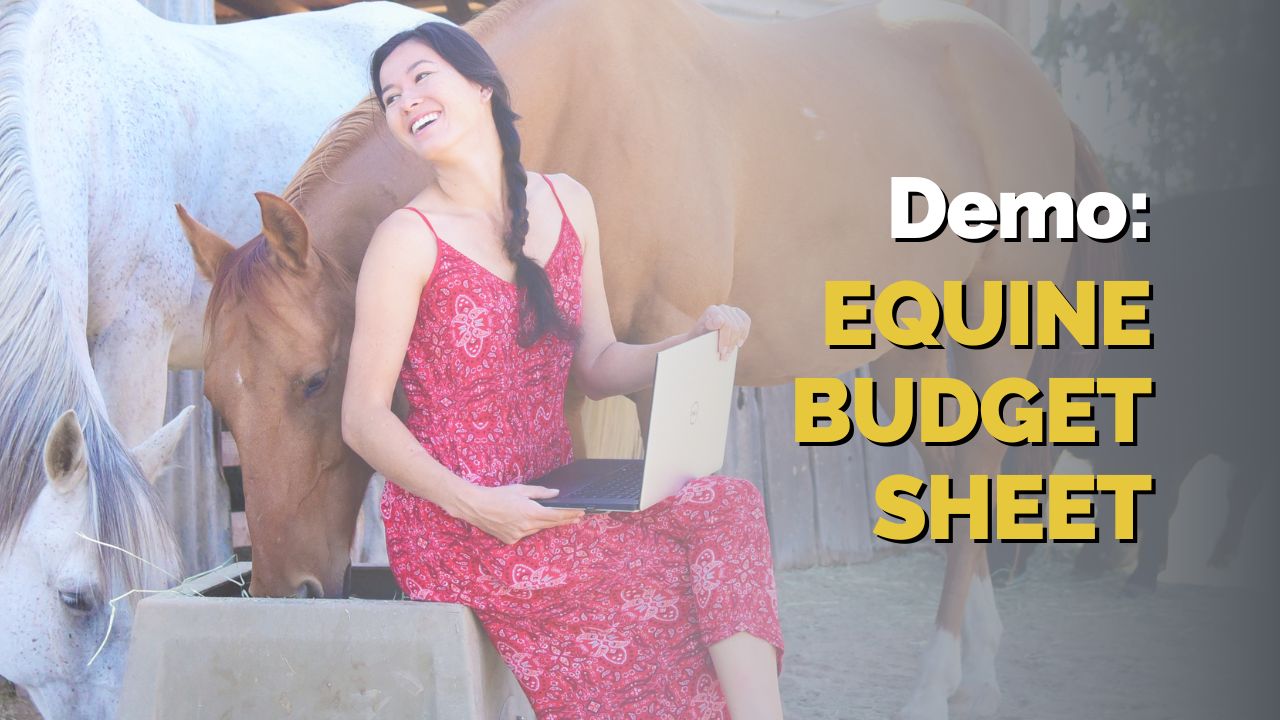 demo for equine budget sheet video