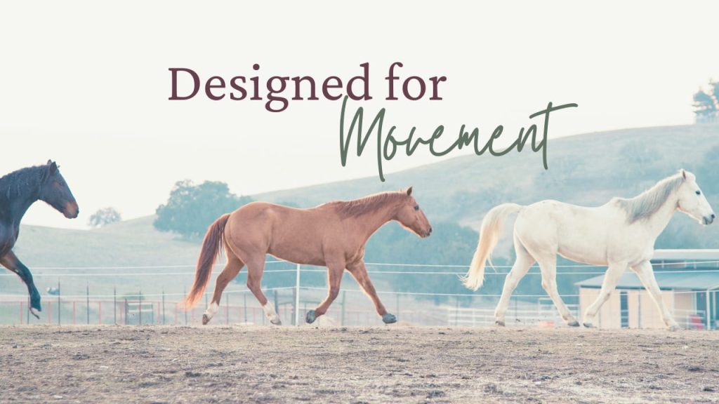 designed for movement thumbnail