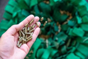 TheSnufflePasture for Horses enrichment