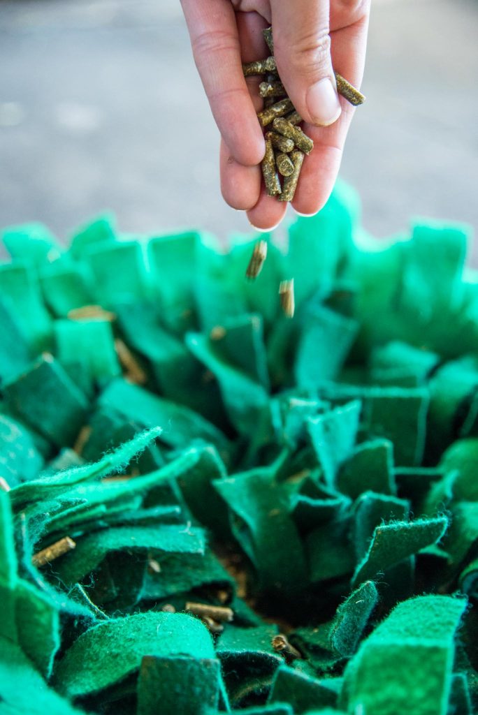 snuffle mat for horses filling with hay pellets