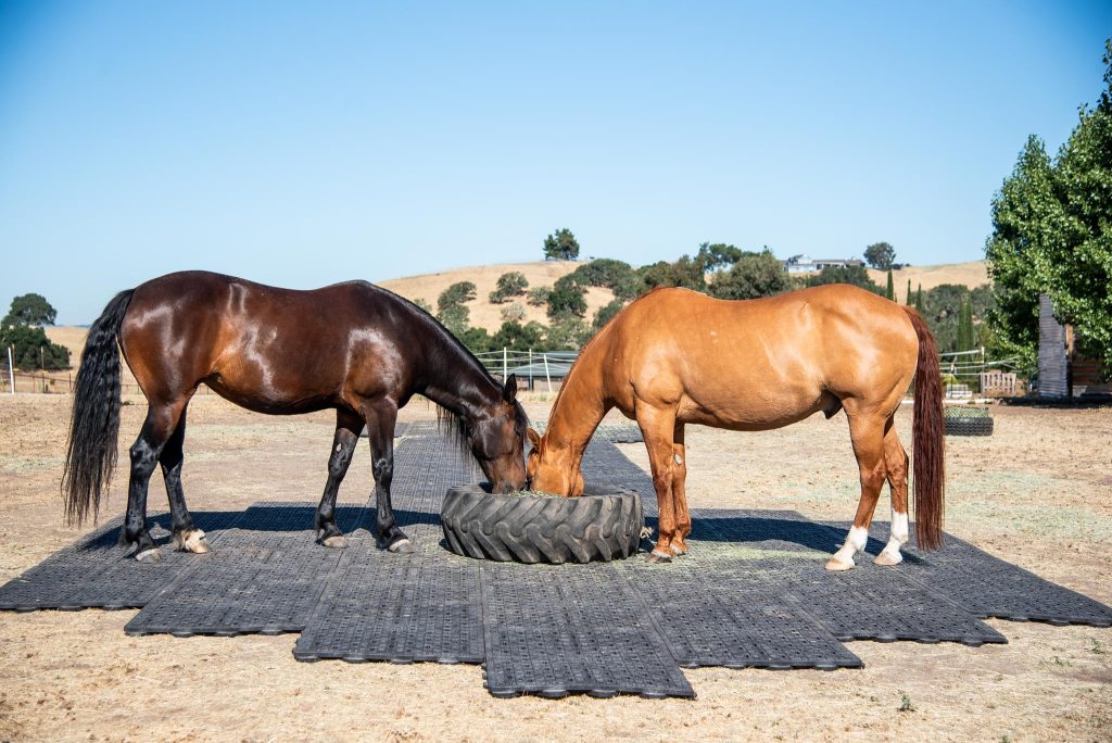 Equinox Mud Grids for Horses