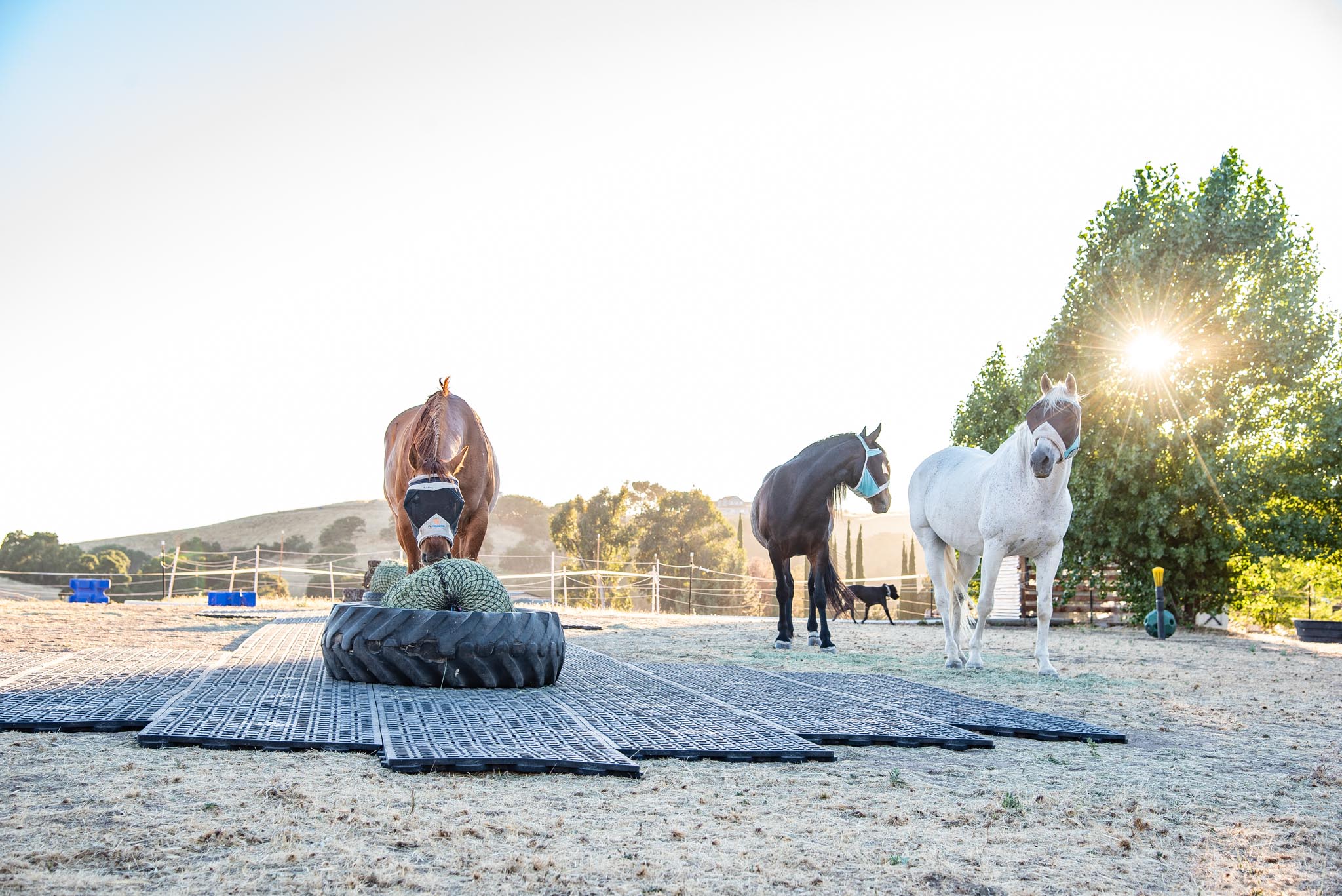 equinox-install (101)