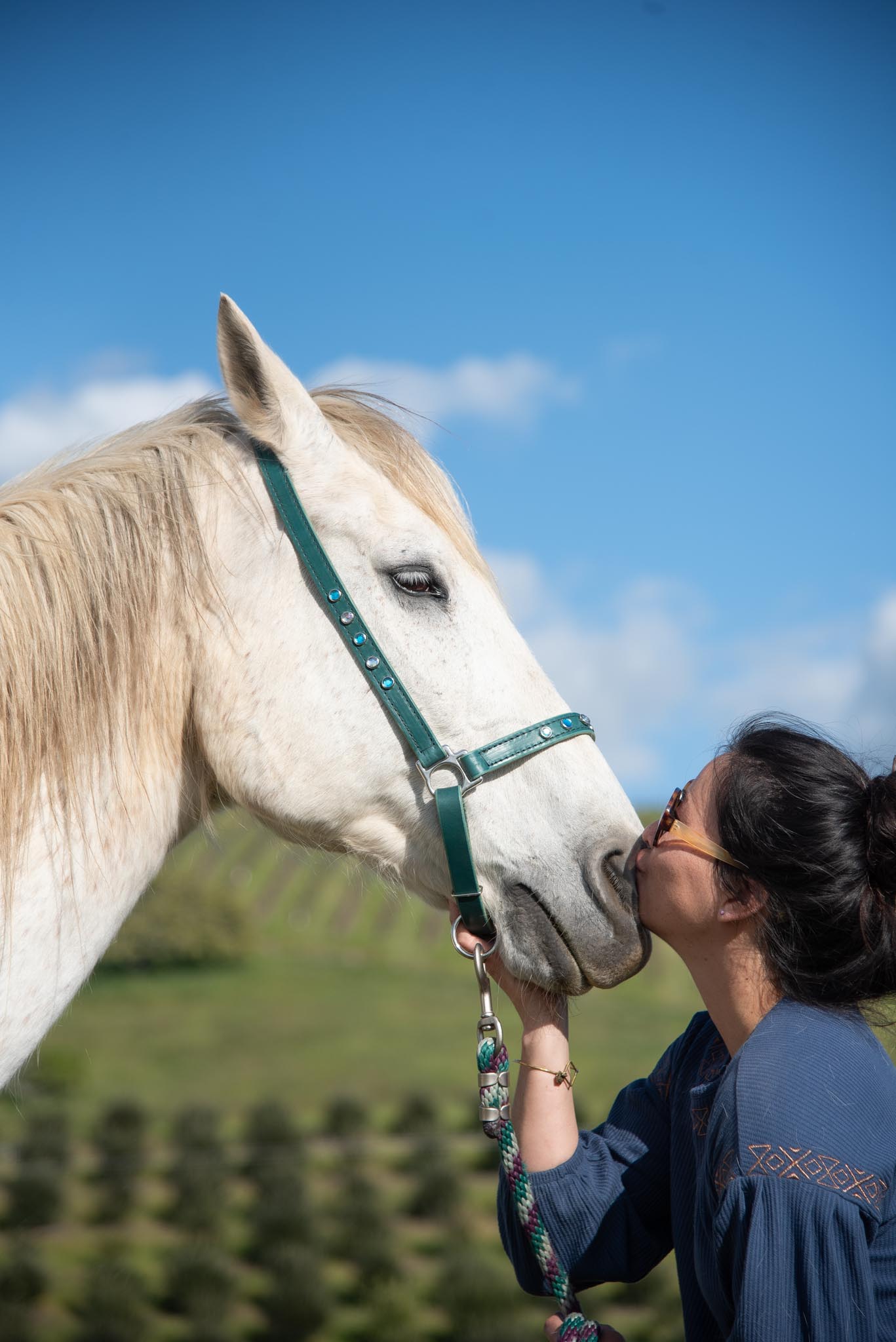 Green Grooming Halter
