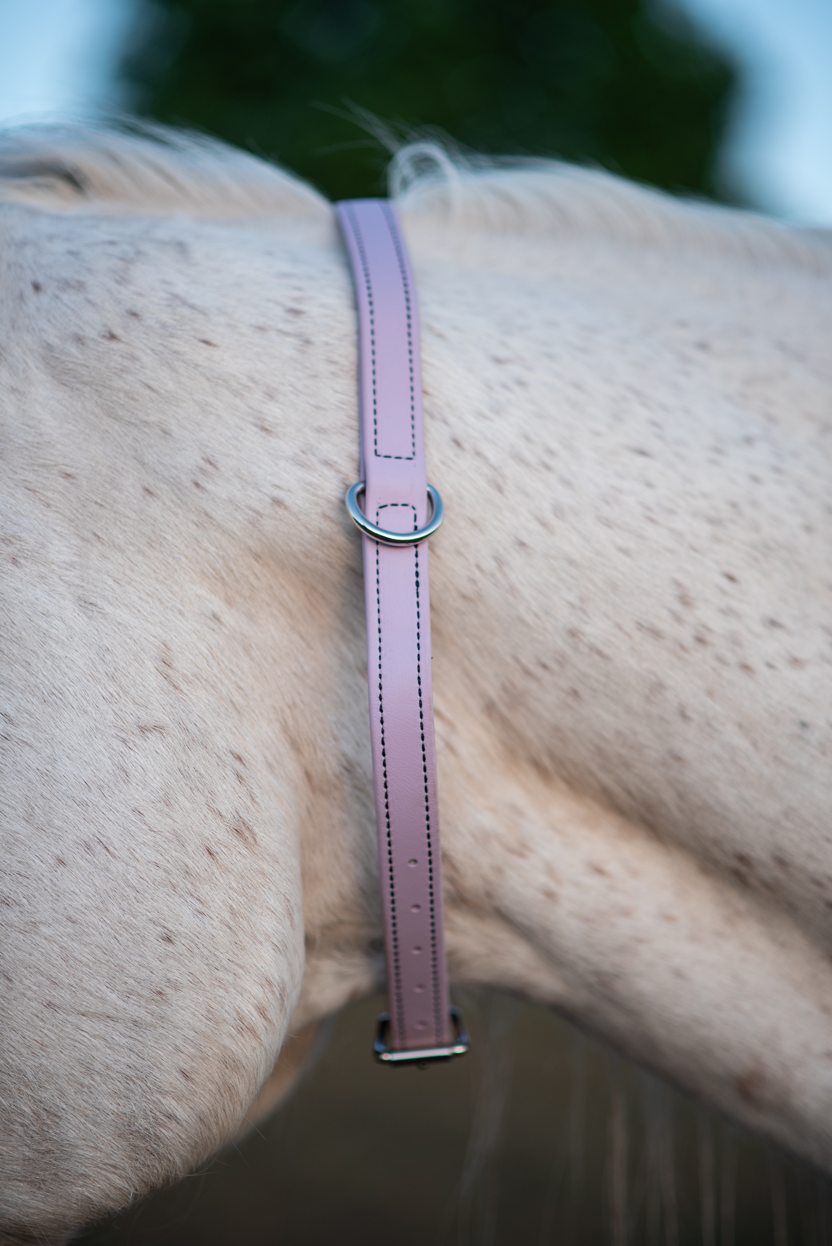 Grooming Neck Collar Lavender