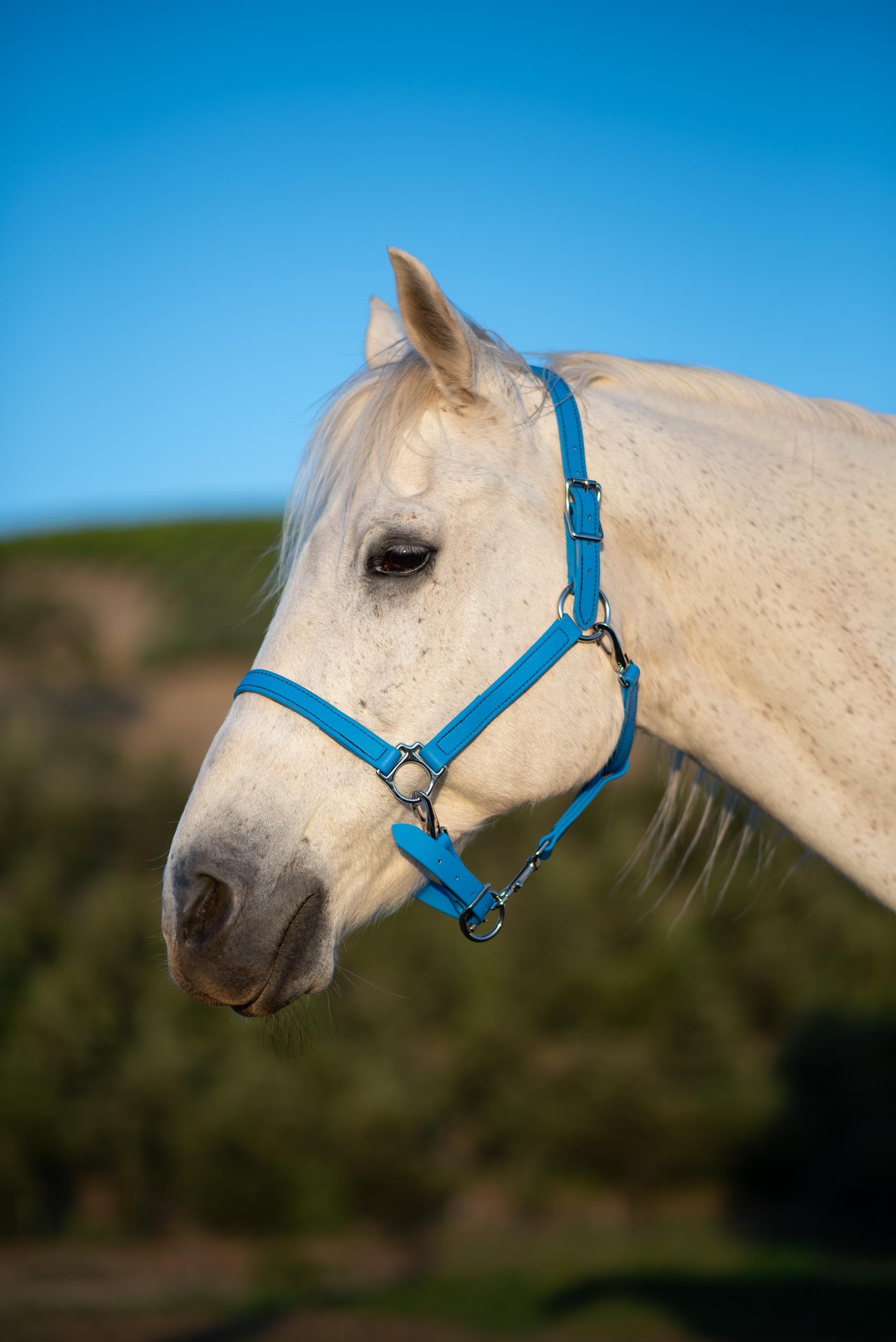 Sky Blue halter