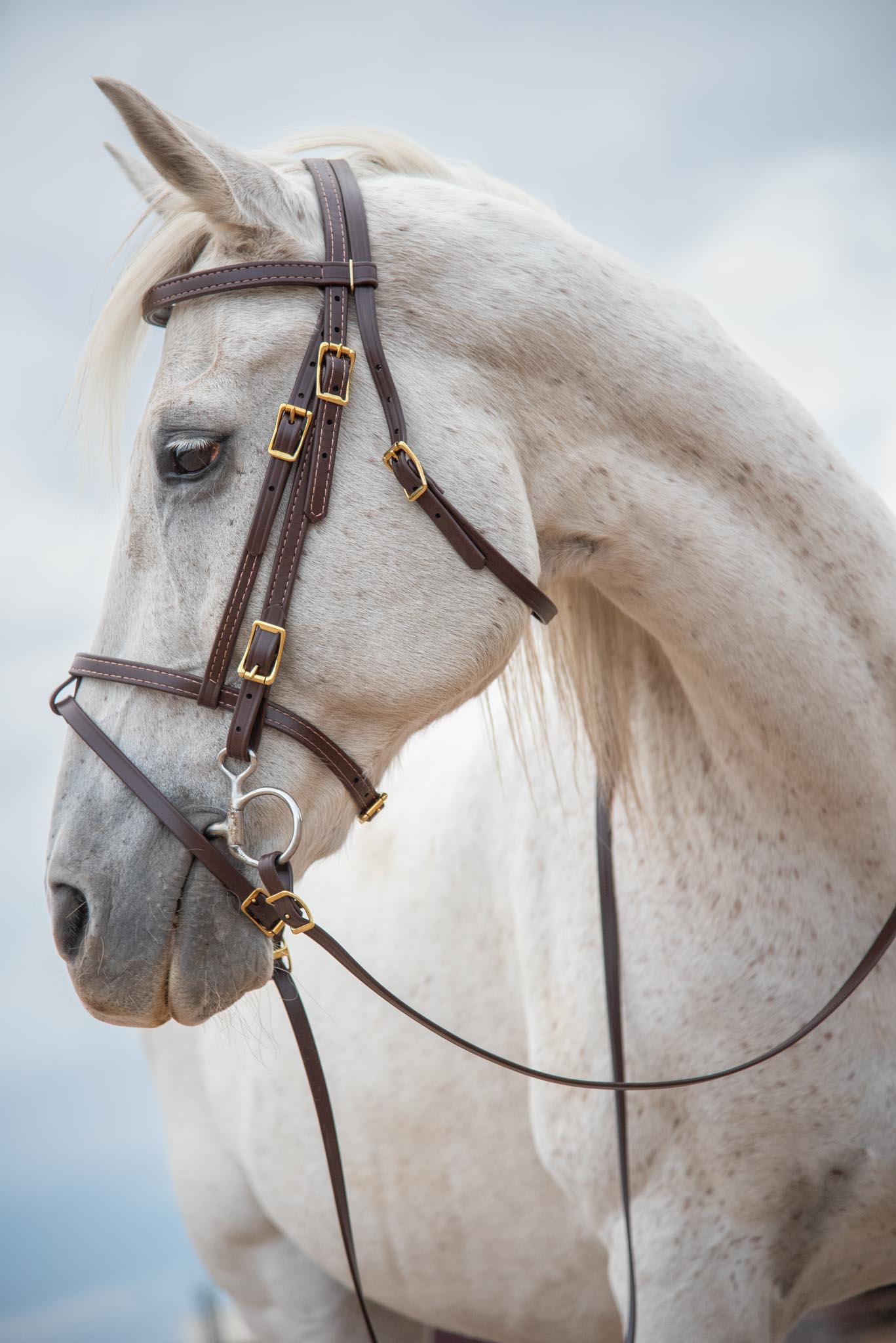BETTER THAN LEATHER English Bridle